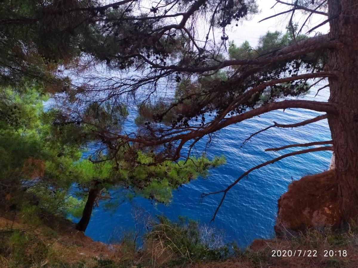 Apartament Apartamenti Enjoy Petrovac Zewnętrze zdjęcie