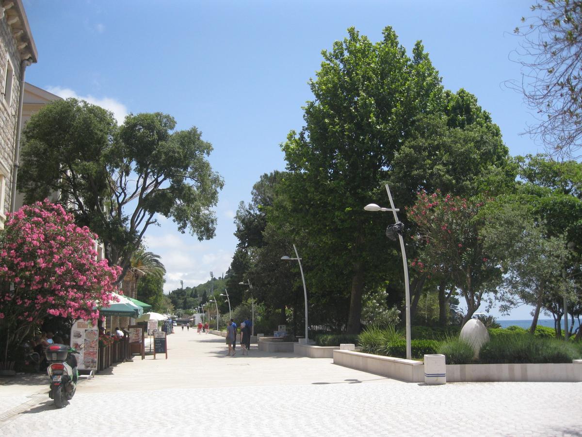 Apartament Apartamenti Enjoy Petrovac Zewnętrze zdjęcie